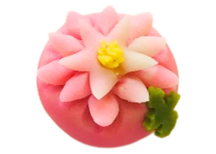 練切 ・ 秋菊